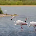 Διαμέρισμα Sea Senses Frente Al Mar Τορεβιέχα